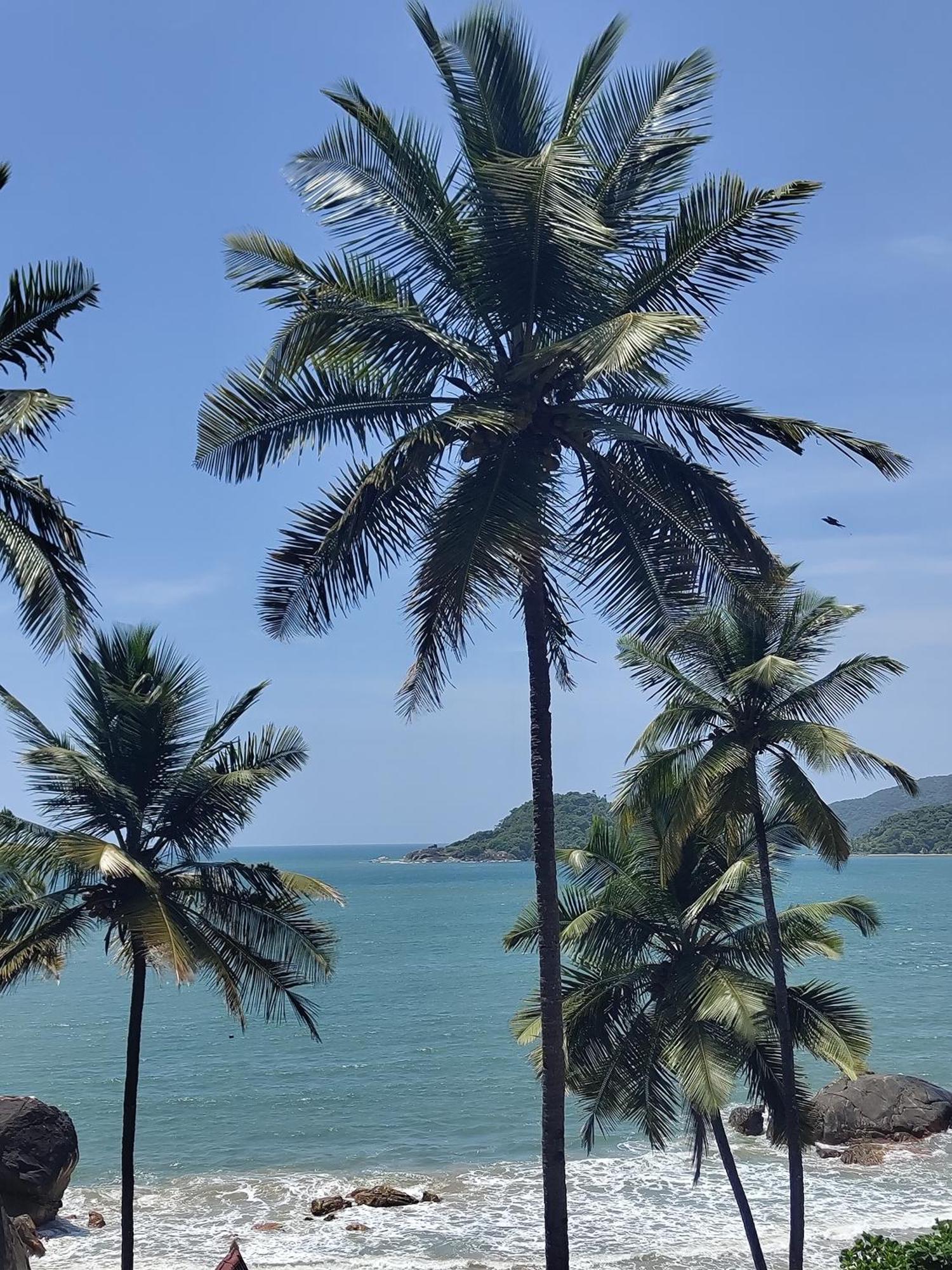 Hilltop Seaview Palolem Goa 호텔 외부 사진