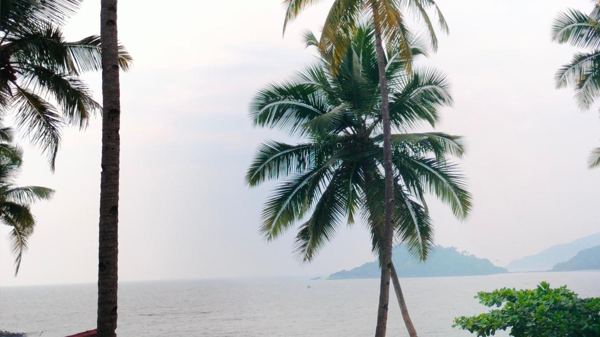 Hilltop Seaview Palolem Goa 호텔 객실 사진