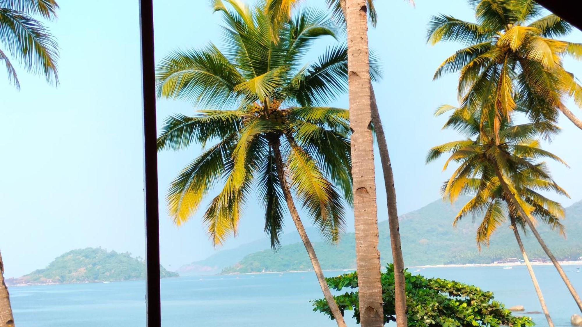 Hilltop Seaview Palolem Goa 호텔 객실 사진